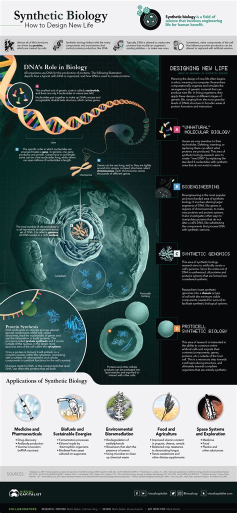 explainer  synthetic biology  redesigning life