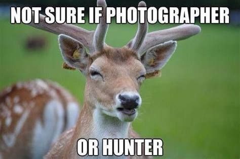 hunting meme hunting huntingmeme huntinglife hunter funny