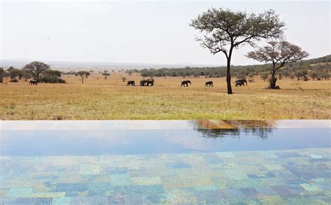 serengeti house luxury rental africa luxury escapes