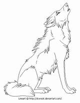 Wolf Coloring Howling Pages Getcolorings Drawn sketch template