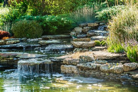 backyard water features  elevate  outdoor living install  direct