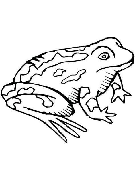 toad coloring pages   print toad coloring pages