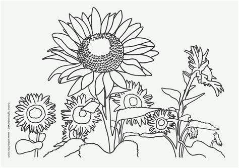 printable nature coloring page  kids coloring page  kids