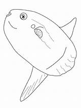 Vissen Kleurplaten Peixes Fisch Poisson Dieren Mewarnai Ikan Poissons Pesce Pesci Animasi Gify Bergerak Animaatjes Peixe Lua Malvorlage Downloaden Kolorowanki sketch template