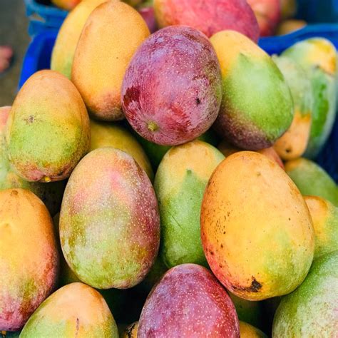 sweet mangoes   bani tiplr