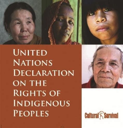 5 Years Un Declaration On The Rights Of Indigenous Peoples Cultural