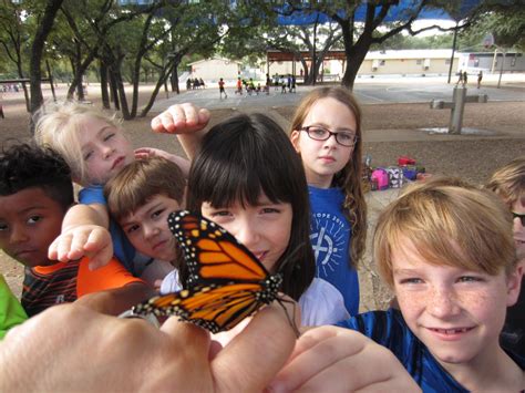 The Monarchs Are Here • The National Wildlife Federation