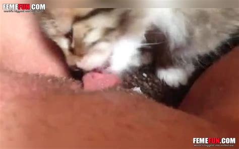 inventive mom finds way to make adorable kitten lick her