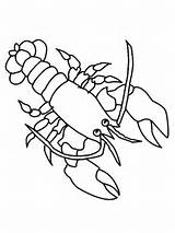 Lobster Coloring Drawing Drawings Animal Printable Animals Kids Pages Ocean Simple Getdrawings Activities sketch template