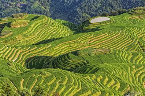longji rice terraces hotels trailfinders