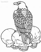 Eagle Bald Coloring Pages Printable Drawing American Kids Eagles Head Sheets Line Color Getdrawings Sheet Cool2bkids Getcolorings Print Bluegill Realistic sketch template