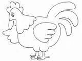 Galinha Desenhos Chickens Rooster sketch template
