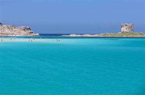 Spiaggia La Pelosa Futurismo Escursioni Asinara Ecoturismo E Tour