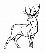 Drawing Head Stag Line Deer sketch template