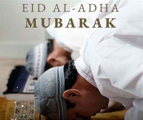 eid ul adha eid mubarak wishes quotes sfsm