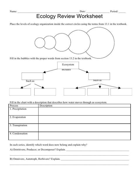 Ecosystem Worksheet Answer Key Ecology Review Worksheet In