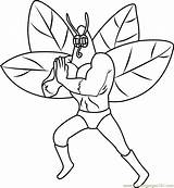 Moth Coloring Pages Getcolorings Getdrawings sketch template