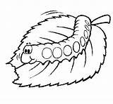Oruga Lagarta Bruco Comiendo Chenille Caterpillar Mastica Dibujos Colorare Mange Orugas Menjant Eruga Leaf Acolore Iluminar Dibuix Worms Milho Coloritou sketch template