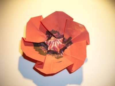 diagram   origami poppy origami poppy kids origami origami
