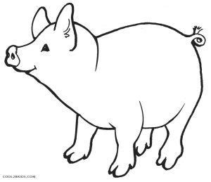 printable pig coloring pages  kids coolbkids animal