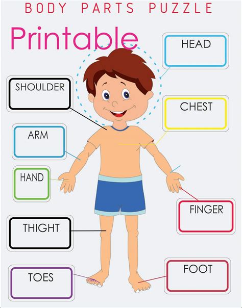 body parts puzzle printable printable word searches