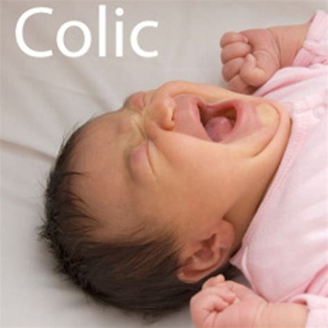 facts  colic fact file