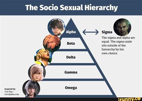 The Socio Sexual Hierarchy Sigma The Sigma And Alpha Are Equal The