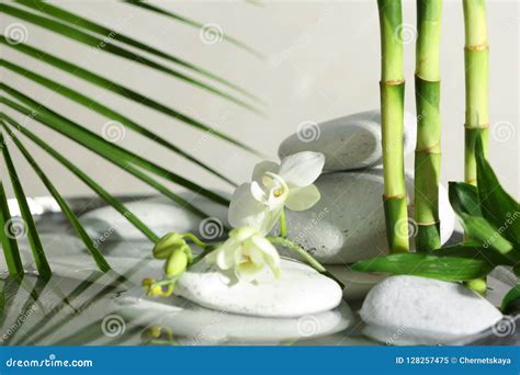 spa stones orchid  bamboo branches  water stock image image