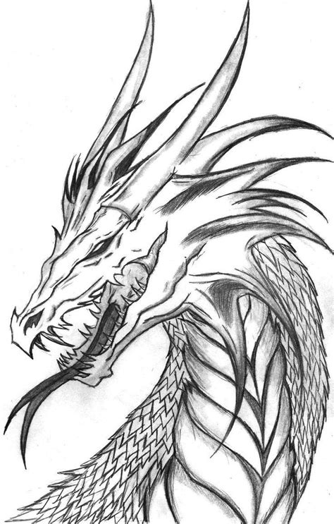 simple dragon sketches  pencil art drawings sketches simple bright