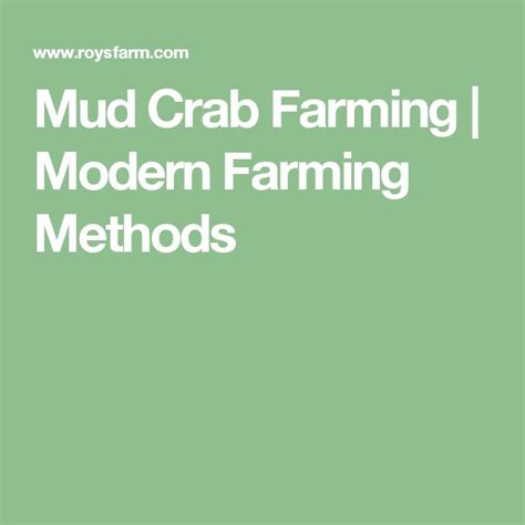 mud crab farming modern farming methods mud crab
