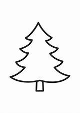 Tree Coloring Fir sketch template
