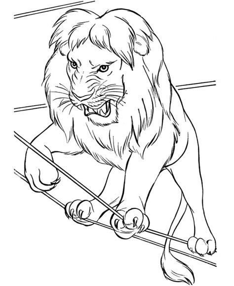 circus lion walking  rope coloring page color luna
