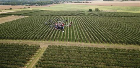 predicting fruit harvest  drones  artificial intelligence
