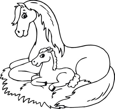 baby horses coloring pages coloring home
