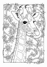 Giraffe Girafe Dandi Dodo Colorier Turmakbanyoseramik sketch template