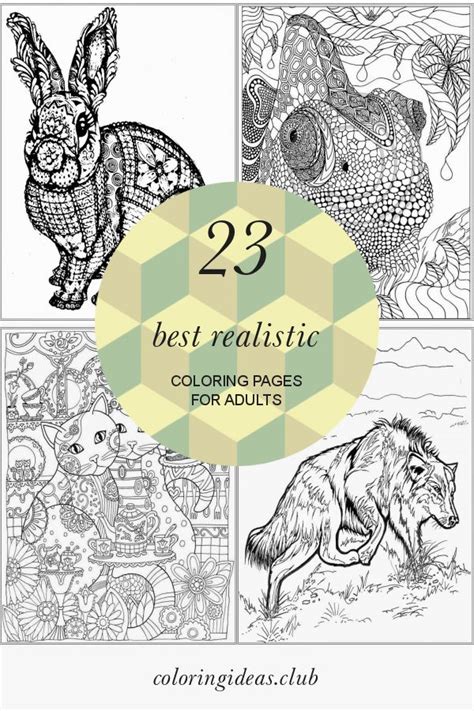 realistic coloring pages  adults realistic coloring pages