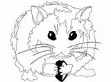 Hamster Hamsters Ausmalbild Coloringhome Coloriages Insertion Coloringfolder Cages sketch template