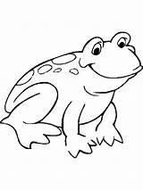 Leapfrog Frog sketch template