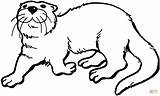 Otter Coloring Pages River Otters Color Printable Print Drawing Kids Getdrawings Super Line Clipartbest Animals Supercoloring Nutria sketch template