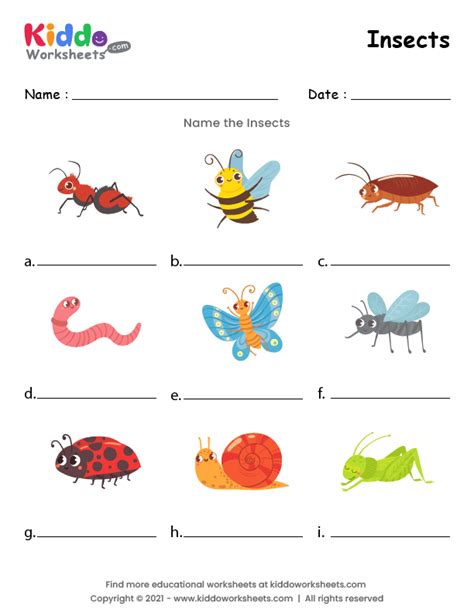 printable preschool bug activities  kids bugs preschool bug activities insects kindergarten
