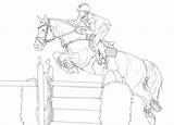 Showjumping Lineart Homecolor sketch template