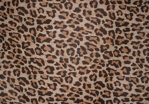 leopard spot wallpaper werohmedia