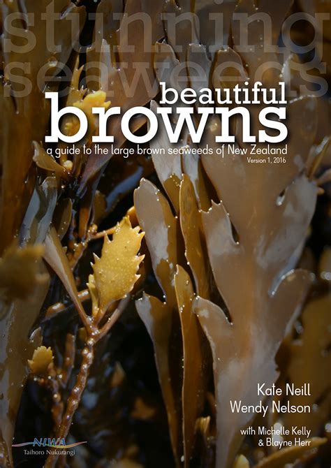 beautiful browns niwa