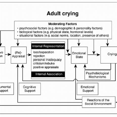 A Model Of Adult Crying Download Scientific Diagram