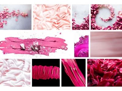 images pink backgrounds bundle  anneleven  dribbble