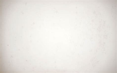 background white gallery photo background paper