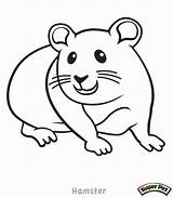 Hamster Coloring Pages Color Cute Critter Glider Dwarf Print Drawing Sugar Realistic Printable Kids Getdrawings Colorings Animals Getcolorings Pets Dog sketch template