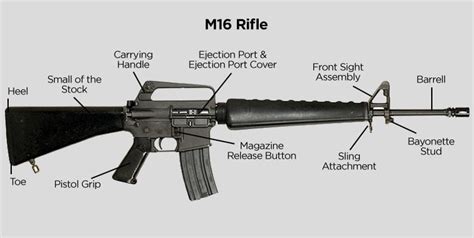 rifle basics identifying parts  functions tactical experts tacticalgearcom