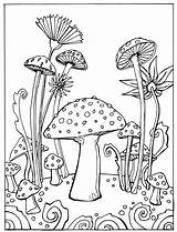 Mushroom Mushrooms Colouring Indie Print Trippy Short Fungi sketch template