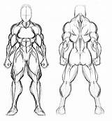 Muscled Superwoman sketch template